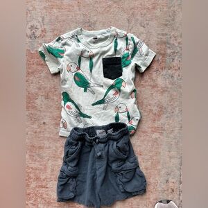 Tea Collection Parrot Tshirt Zara Cargo Shorts Gap Orange Tank Top Boys 4 Outfit